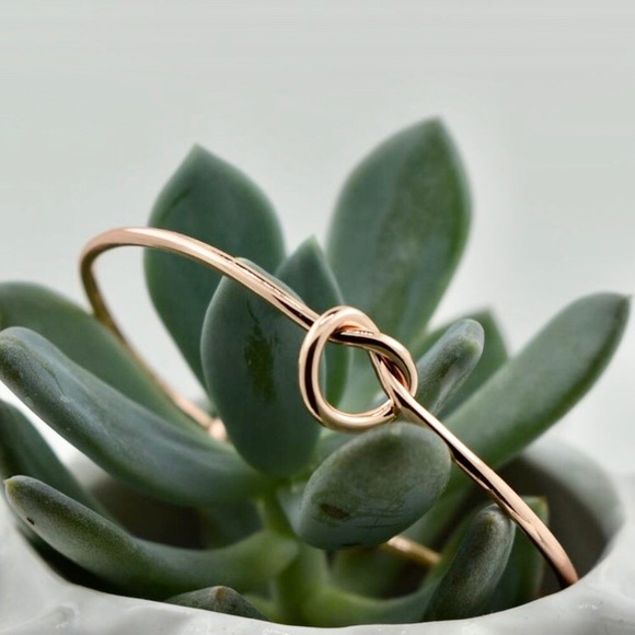 Minimalist "Infinite Love" Knot Bangle Bracelet - Picture 2 of 14